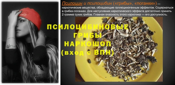 мет Абаза