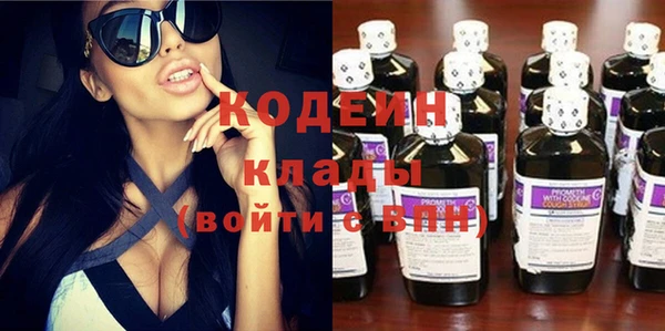 молекула духа Медвежьегорск
