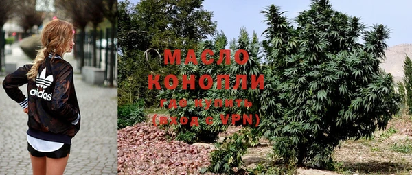 молекула духа Медвежьегорск